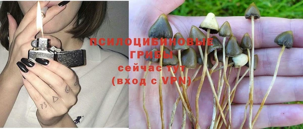 ALPHA-PVP Новозыбков