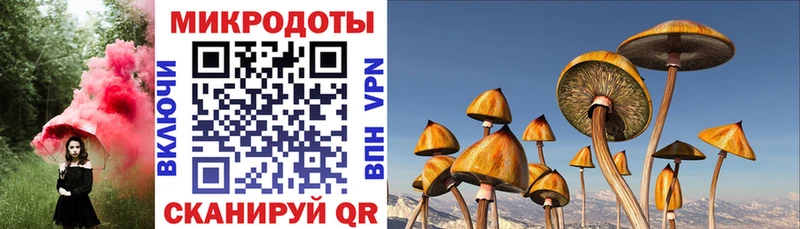 Галлюциногенные грибы ЛСД Алушта