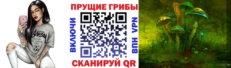 сколько стоит  Алушта  Галлюциногенные грибы Psilocybine cubensis 