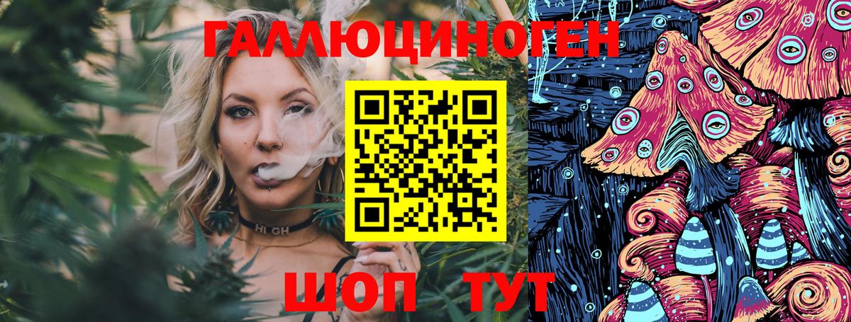 цены наркотик  Псилоцибиновые грибы Psilocybe  Алушта  Галлюциногенные грибы Psilocybe 