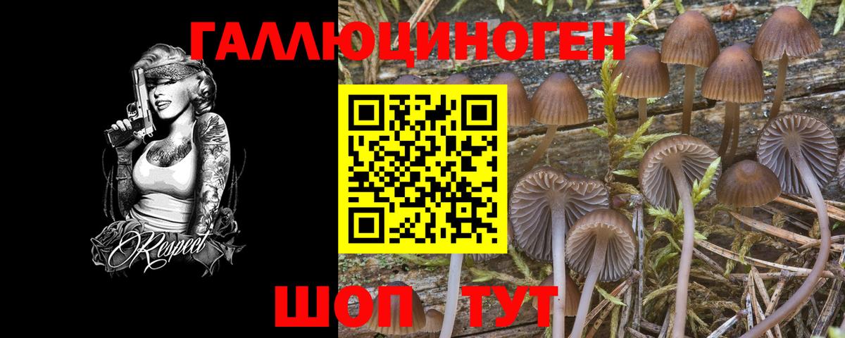 Галлюциногенные грибы мухоморы  Вход с VPN  Алушта 