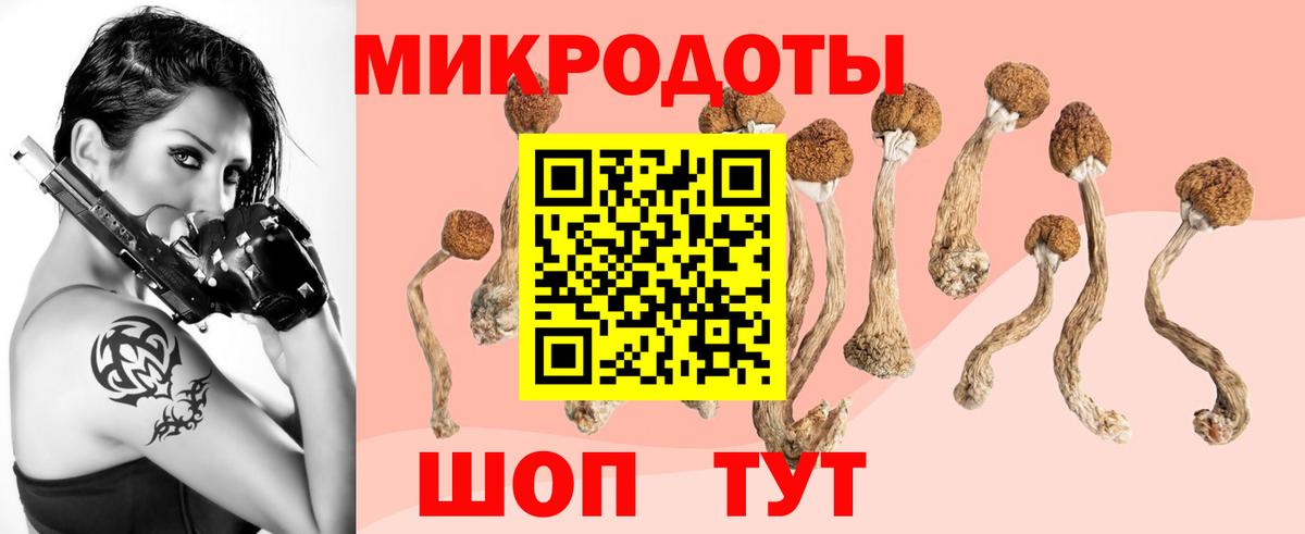 Псилоцибиновые грибы Psilocybine cubensis Алушта